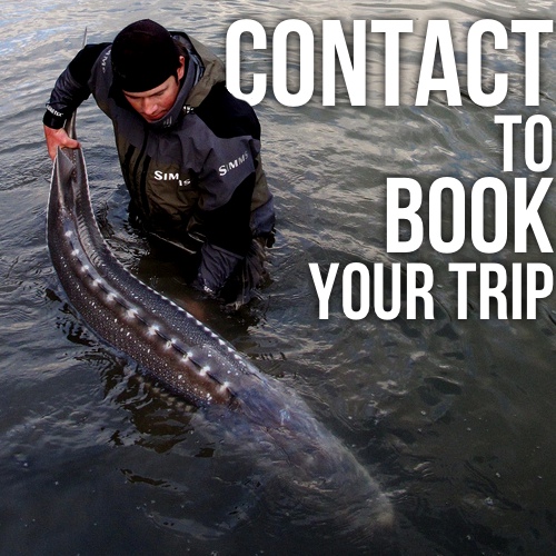 Book Your Trip