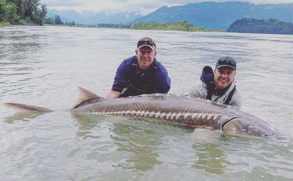 Early summer big boys on the Fraser River